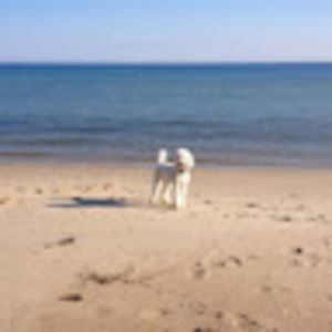 Meet your Posher, Joanna